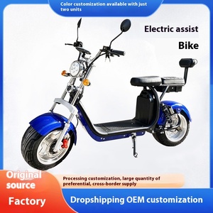 Venta Directa de Fábrica: Scooter Eléctrico de Dos Ruedas, Batería de 20ah, 50km/h, 60km de Autonomía, Neumático Ancho, Motor sin Escobillas, 200kg, X10 Loa X10 - Product Image 6