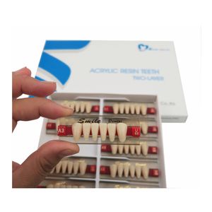 Dental Synthetic Anterior Teeth 26 Colors Front <b>Denture</b> Teeth Two Layer 6x1 - Product Image 6