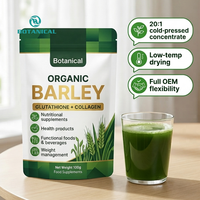 Poudre de jus d'herbe d'orge biologique de qualité alimentaire OEM sous marque privée, soluble dans l'eau, emballage personnalisé, vente en gros, supplément en vrac