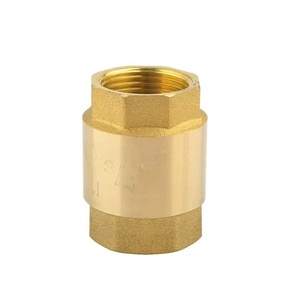 Válvula de Retención Vertical de Latón con Resorte, Manual, para Bombas con Conexiones BSP/NPT, Tamaño de Puerto de 1/2"-2" para Gas y Agua - Product Image 4
