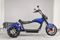 Fabricant de motos électriques Scooter électrique grand siège CEE COC Chopper Scooter électrique à trois roues