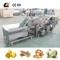 Industriële gemotoriseerde wasmachine voor fruit, groenten, yam, rambutan, citroenzaden, 2000 kg/uur, SUS304 roestvrij staal, bubbelwassing
