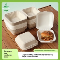 Conteneur jetable biodégradable en pulpe - Boîte à emporter pour bento/hamburger/croissant/gâteau - 300 pièces