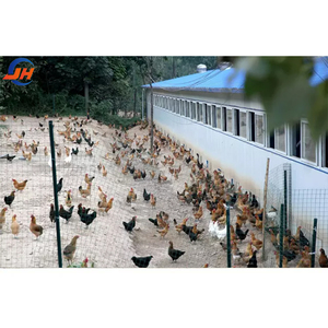 Entrepôt préfabriqué en Chine Bâtiments matériels Construire des arènes pour chevaux <span class=keywords><strong>Abri</strong></span> pour chèvres Arène pour chevaux Granges préfabriquées en acier - Product Image 6