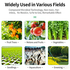 <span class=keywords><strong>Fertilizante</strong></span> en Polvo de Aminoácidos Orgánicos, 80% de Aminoácidos, Pureza del Cloro del 99%, para Plantas, Riego por Goteo, Pulverización <span class=keywords><strong>Foliar</strong></span>, Bolsas de 10 kg - Product Image 6