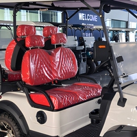 Carrito de Golf Eléctrico de Lujo de 3-4 Plazas, Cómodo, con Batería de 48v 72v, Personalizado, Todoterreno, Precio de Fábrica