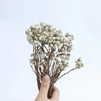 Nouvelles Fleurs Séchées 2026, Baies Blanches Préservées, Écologiques, Toucher Naturel pour la Maison, Fête des Mères, Noël