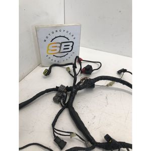 Cablaggio Indicatore Anteriore Destro Kawasaki Er6f Er6n Gtr1400 Zx10r Z1000 Zx6r - Product Image 6