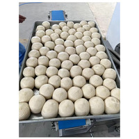 Machine à plastifier automatique avec moteur de 0,85 kW, capacité de 2000-2500 feuilles/heure pour la fabrication de farine et de pain, papadam, burritos