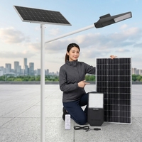Lampadaire solaire tout-en-un LED IP66 pour éclairage extérieur, puce Bridgelux 5050, pour routes, jardins et chemins