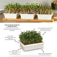 Set Hadiah Kit Penanaman Microgreens dengan 3 Baki dan Penyangga Bambu Alami untuk Sayuran Salad Dapur Dalam Ruangan