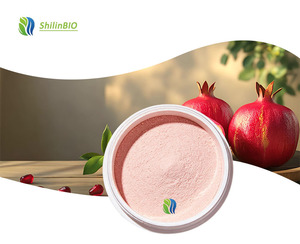 SLBIO Fornitura all'Ingrosso di Estratto di Erbe Alimentari in Polvere Idrosolubile di <span class=keywords><strong>Melograno</strong></span> in Confezioni a Tamburo/Lattina/Bottiglia - Product Image 2