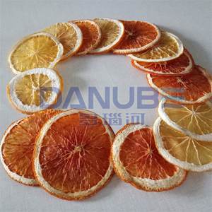 Custom Fruit Fig Dryer | Fig Dryer | Fruit Dehydration and Washing Drying Chamber - Product Image 2