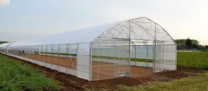 Invernadero de túnel comercial de bajo coste, kit de producción de invernadero de tomate