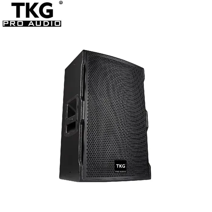 TKG 450W TT-15M 15 inch active poder alto-falantes ativo sistema