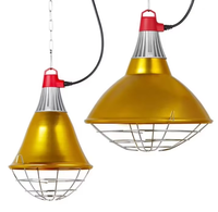Lampe chauffante industrielle dorée pour animaux – Chauffe-nid réglable et anti-humidité pour l'élevage de volailles (approvisionnement en gros)
