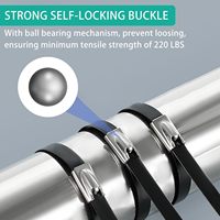 100 attaches-câbles auto-bloquantes en acier inoxydable 304 robustes, revêtement époxy, noires, pour clôture à maillons (4,6 mm)