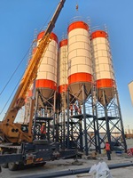 La fabrication fournit directement des machines de construction meilleure vente prix de silo de ciment de 100 tonnes 200 tonnes, silo de stockage de ciment
