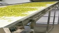 Séchoir à bande maillée automatique continu, machine de déshydratation alimentaire à tunnel pour la transformation industrielle des fruits et légumes