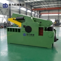 Machine de cisaillement hydraulique automatique pour métaux avec toutes sortes de spécifications