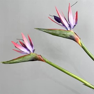 Plante artificielle en PVC souple au toucher réel, fleur d'oiseau de paradis, nouveau design, décoration d'intérieur pour Noël et Pâques - Product Image 5