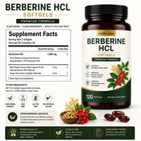 Gélules de berbérine HCL de haute qualité en gros (OEM/ODM) pour l'équilibre métabolique et les soins corporels – Complément de santé sous marque privée