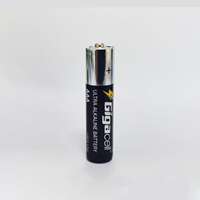 Dukungan MOQ Kecil - Baterai Alkaline Ultra AA 1.5V AM3 Baterai Mainan Primer untuk Toko Rumah Tangga, Mainan Edukasi, dan Penyimpanan Energi