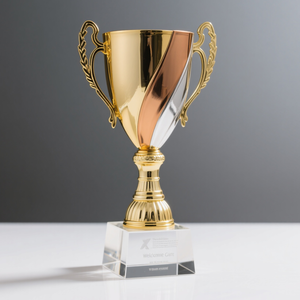 Trofei sportivi premio calcio personalizzabili grandi <span class=keywords><strong>coppe</strong></span> in metallo con medaglie <span class=keywords><strong>e</strong></span> <span class=keywords><strong>targhe</strong></span> di cristallo <span class=keywords><strong>e</strong></span> plastica - Product Image 2