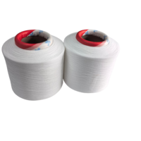 Filament de polyester 100% blanc brut 50D/72F, fonctionnel, absorbant l'humidité, fil DTY pour le tricotage
