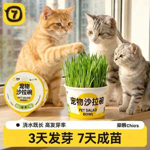 Bol à salade pour animaux de compagnie, herbe pour chat, conteneur rond de 96g pour chats - Product Image 2