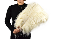 35-40cm Plumes d'autruche panache naturel rouge pour fête carnaval maison mariage pièce maîtresse noël Vase vacances décor bricolage artisanat Floral
