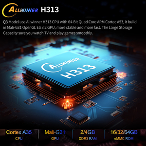 جهاز استقبال تلفزيوني ZOKU HCS96-Q3 يعمل بنظام أندرويد 16 مع ذاكرة وصول عشوائي 1 جيجابايت وذاكرة تخزين 8 جيجابايت، يدعم لغات متعددة ودقة 4K مع معالج Allwinner H313 رباعي النواة - Product Image 4