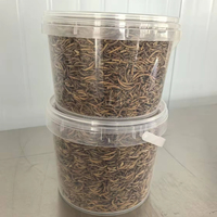Vers de farine séchés riches en protéines 1 kg Emballage personnalisé en seau 100% Vers de farine naturels purs Nourriture pour animaux de compagnie séchée