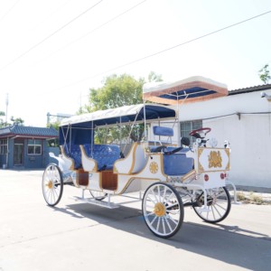 Carrozas turísticas eléctricas de tres filas, personalizadas de fábrica con carrocería blanca y asientos azules, carrozas retro en venta - Product Image 5