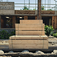 Contreplaqué de peuplier de haute qualité, bois massif de style design moderne pour la construction, achat à bas prix, garantie 1 an