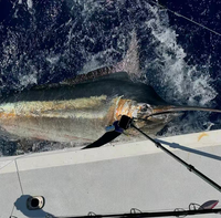 12 Zoll Marlin Thunfisch Schleppköder Farbenfroher Rockköder Großwild-Angelköder Meeresfischen
