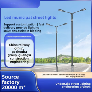 <span class=keywords><strong>Farolas</strong></span> LED municipales para revitalización rural, postes de iluminación para exteriores, proyecto de alumbrado vial impermeable, farola de doble brazo - Product Image 2