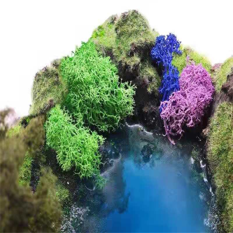 1000 г имитация растений мох вечной жизни/Декор для сада дома на стену DIY Цветочный материал мини Сад Микро ландшафт мох подарок
