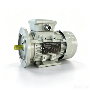 Motor Eléctrico Trifásico de la Serie Y4, 220/400V, 50/60Hz, 4kW, 5.5 HP, Eficiencia IE2, 3000 RPM, Carcasa de Aluminio Totalmente Cerrada, IC411 - Product Image 1