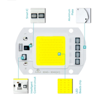 Carte COB sans conducteur AC220V 110V 10W 20W 30W 50W 100W Diodes à puce DOB haute puissance pour projecteur LED Downlight
