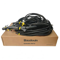 Faisceau de câblage de véhicule à prix réduit 1010797660 pour moteur Weichai Baudouin 6M33