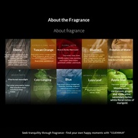 Diffuseur de parfum en bois et verre pour voiture, ornement d'intérieur haut de gamme pour huiles essentielles, sensation premium, parfum longue durée, placement sur siège