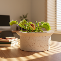 Petit pot de plante en céramique avec trou, beige, gris foncé, pour plantes succulentes, décoration de bureau et de maison