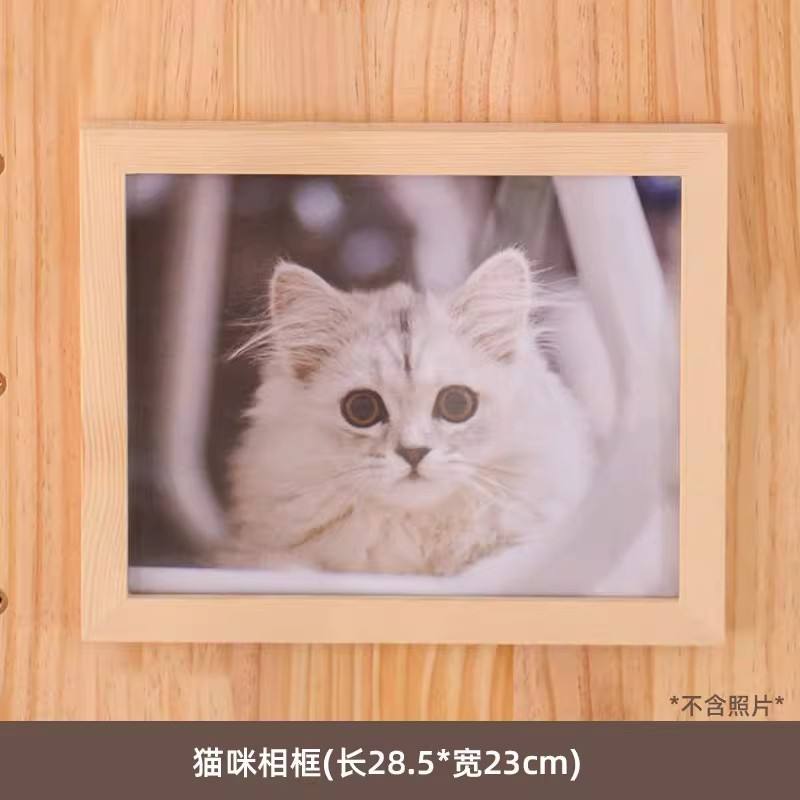 Marco de fotos de gato