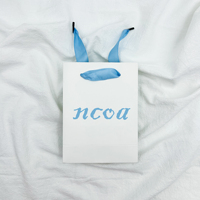 Sacs en papier de luxe pour boutique, avec logo de marque imprimé, sacs cadeaux en papier blanc personnalisés avec poignées en ruban