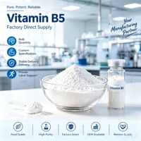 Vitamine B5, extrait végétal naturel, matière première de haute pureté, qualité alimentaire, vente en gros directe d'usine, OEM, marque privée