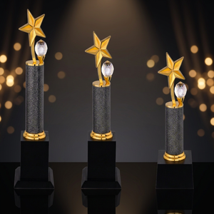 Trophée Étoile Durable avec Gravure, Récompense Métallique Portable en Moulage sous Pression pour les Établissements Éducatifs et les Bureaux d'Entreprises - Product Image 1