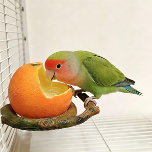 Plateforme d'alimentation pour oiseaux au design fruitier, bol suspendu pour nourriture et eau pour perroquets, décoration de cage - Product Image 2
