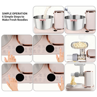 Machine à pâtes multifonctionnelle 300W pour pétrir la pâte et presser les nouilles avec un bol en acier inoxydable de 5L pour la cuisine à domicile