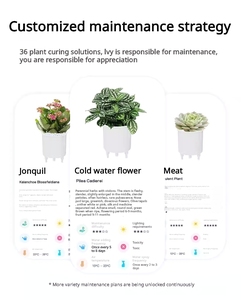 7 capteurs électroniques intelligents AI Flowerpot Pets Small Plastic Multiple Expressions for Indoor Kitchen Desktop Garden Use - Product Image 4